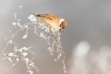 выкса.рф, C первым днем зимы! ❄